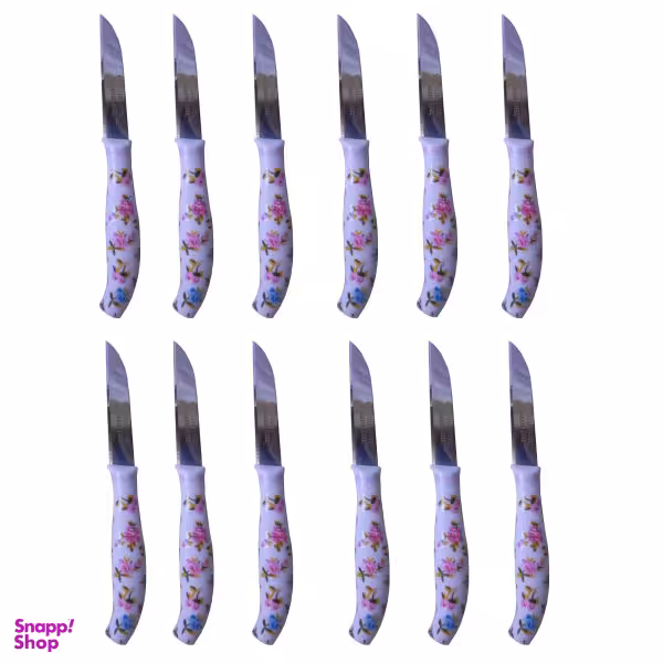 کارد میوه خوری کد 0079 بسته 12 عددی