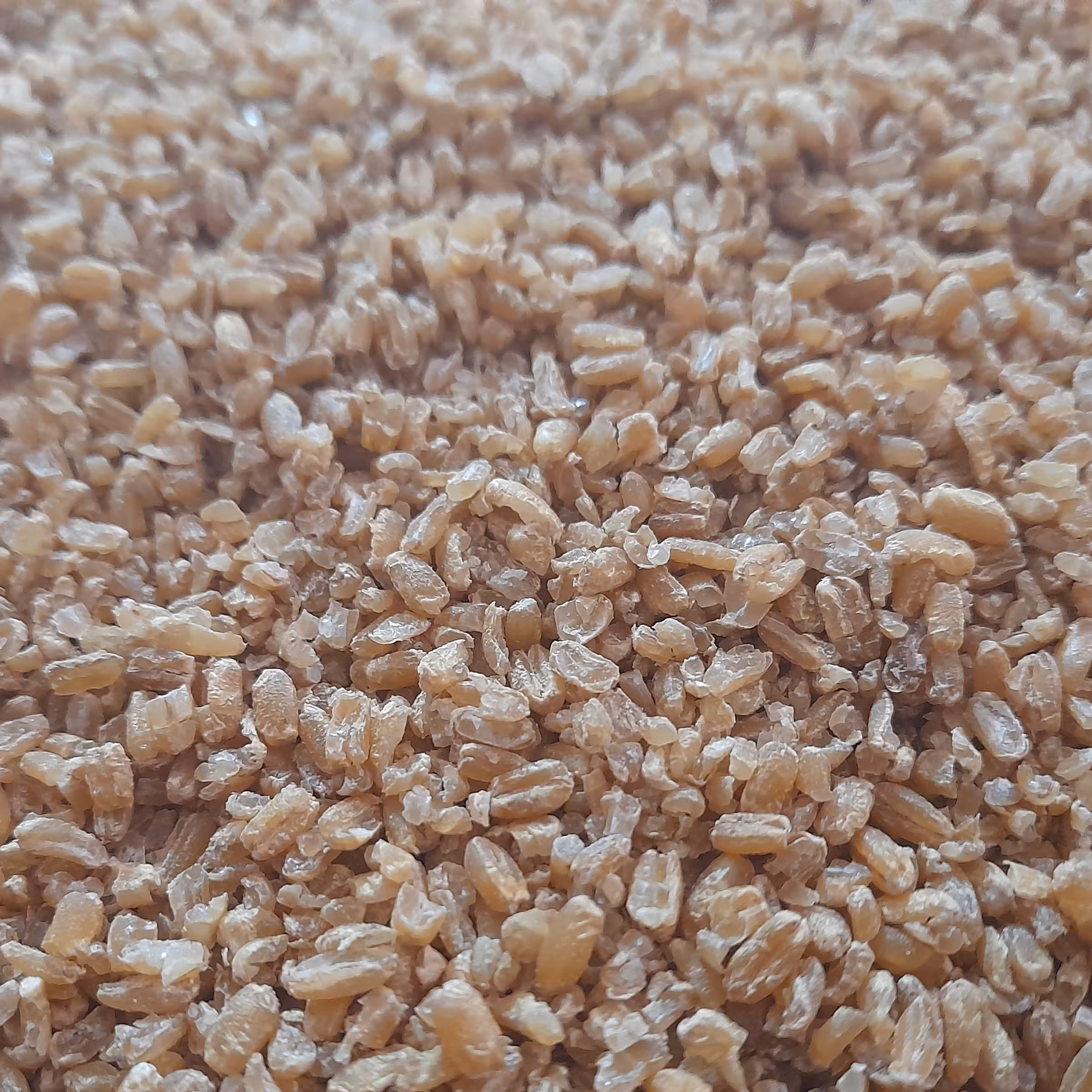 بلغور گندم نیم پخت ( یارما) از گندم زارهای حاصلخیز  روستای اوخچی سنتی و خانگی محصول خودمان