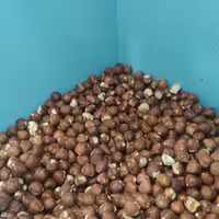 فندق قهوه ای 