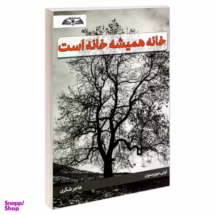 کتاب خانه همیشه خانه است اثر تونی موریسون نشر درقلم