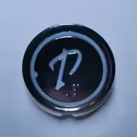 کلید شستی P ( پارکینگ) مخصوص صفحه کلید کابین  نور آبی     رنگ نقره ای