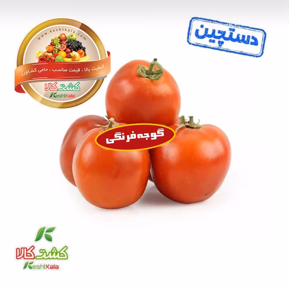 گوجه فرنگی فله دستچین 