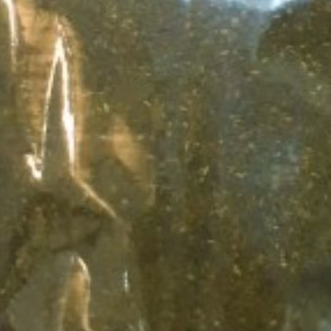 پونه سبز ساییده شده 150 گرمی پودر پونه