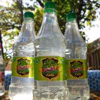 نعنا دو آتیشه نحل کاشان(3 لیتر)