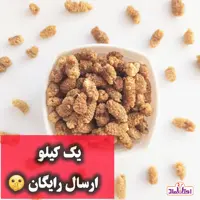 توت خشک نرم 500 گرمی اعتماد امسالی و شیرین و روشن
