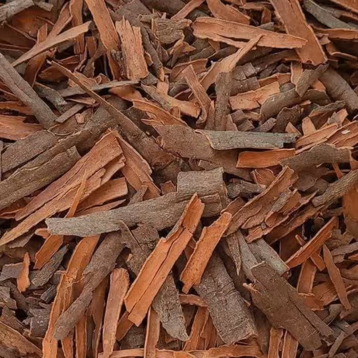 چوب دارچین 40 گرمی برساد