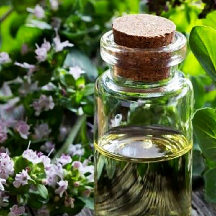 روغن پونه کوهی 30 سی سی مناسب پوست و مو ودرد و بیماری های داخلی
