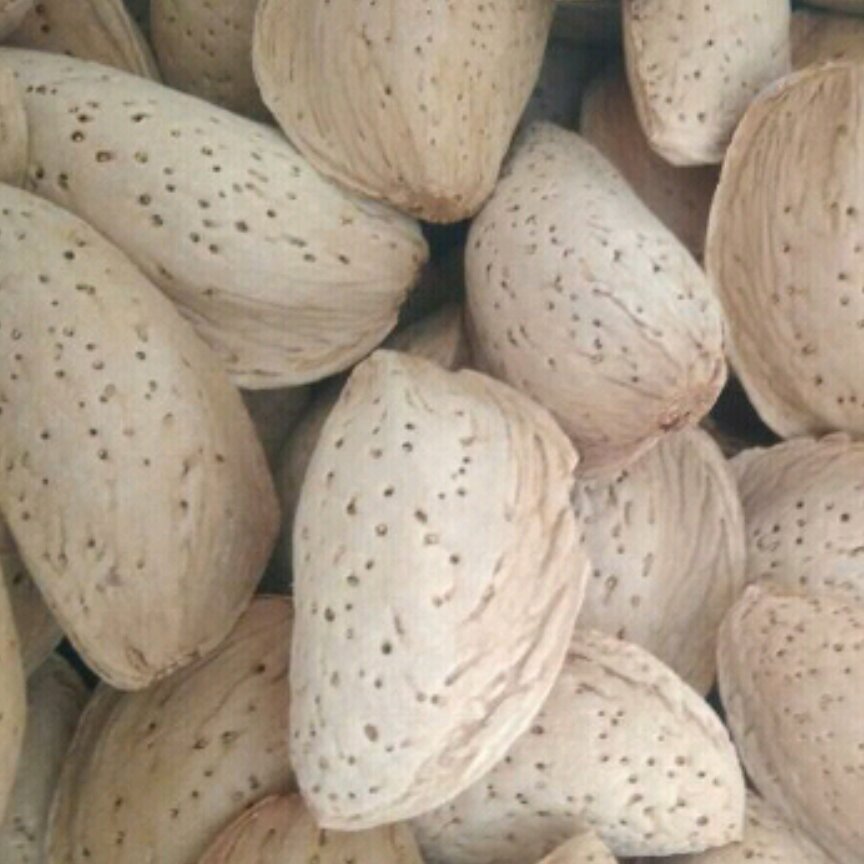 بادام مامایی 500 گرمی