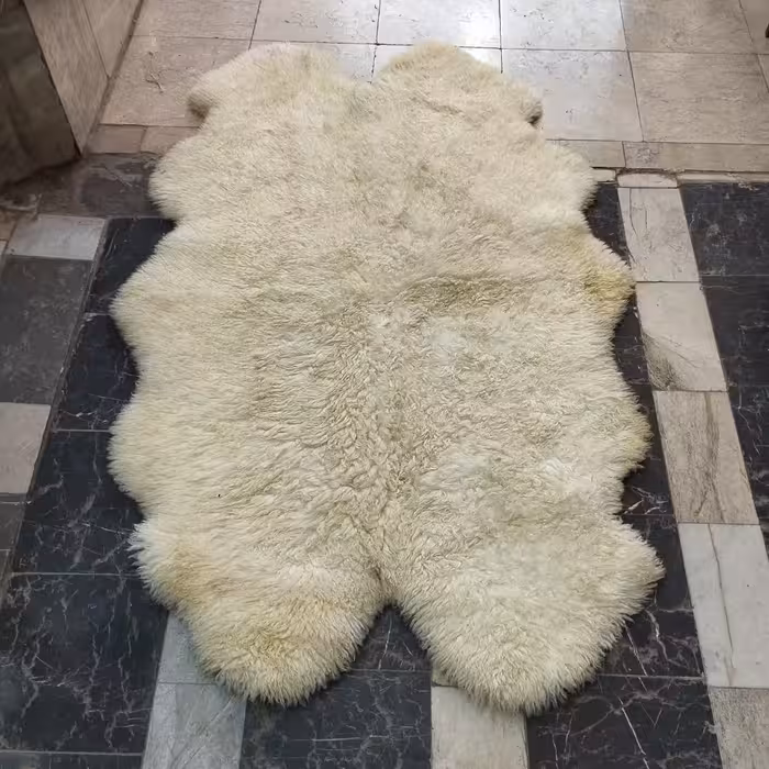 تشک دو نفر پوست مرینوس (1554)