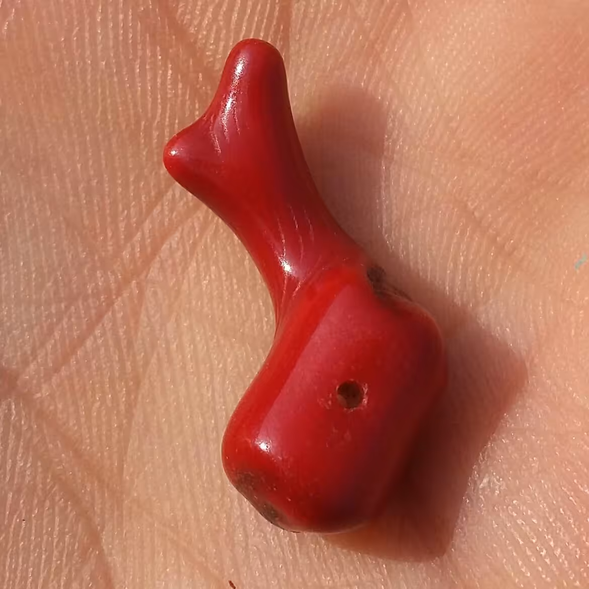 سنگ مرجان سرخ سوراخ دار  بسیار زیبا مناسب آویز شاهکار خلقت بی نظیییر
کد 8753