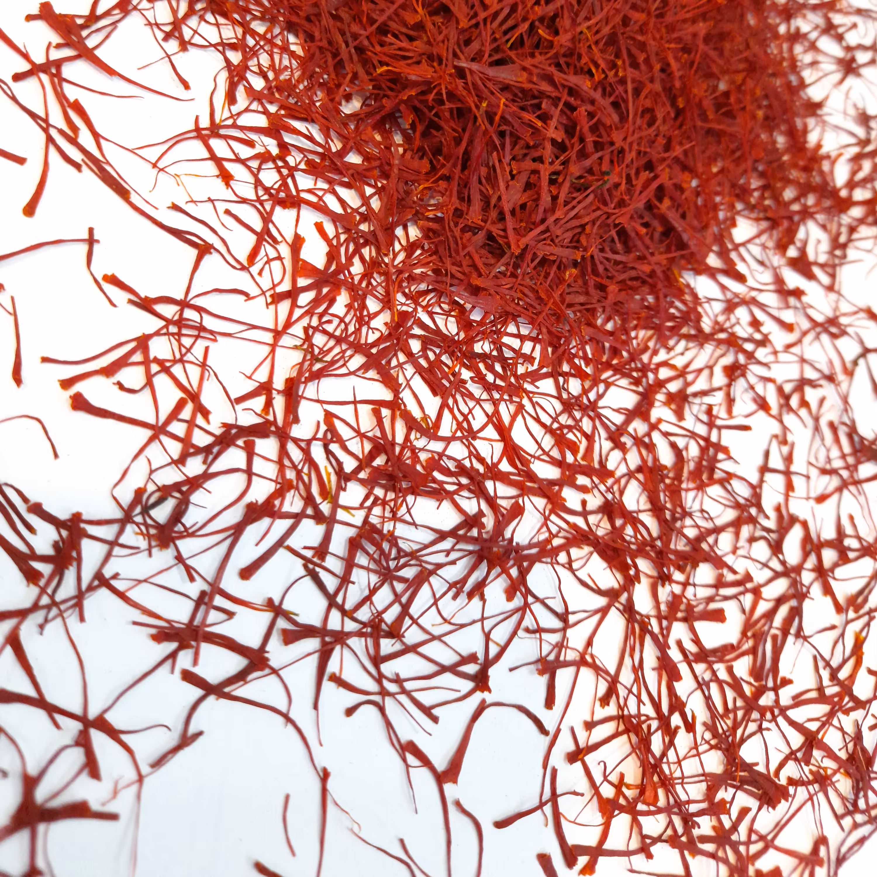 زعفران نگین 1 مثقالی