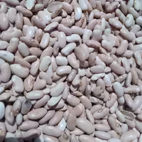 لوبیا کشاورزی