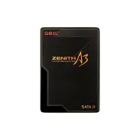 مشخصات، قیمت و خرید حافظه SSD گیل Zenith A3 ظرفیت 120 گیگابایت | آبتین مال