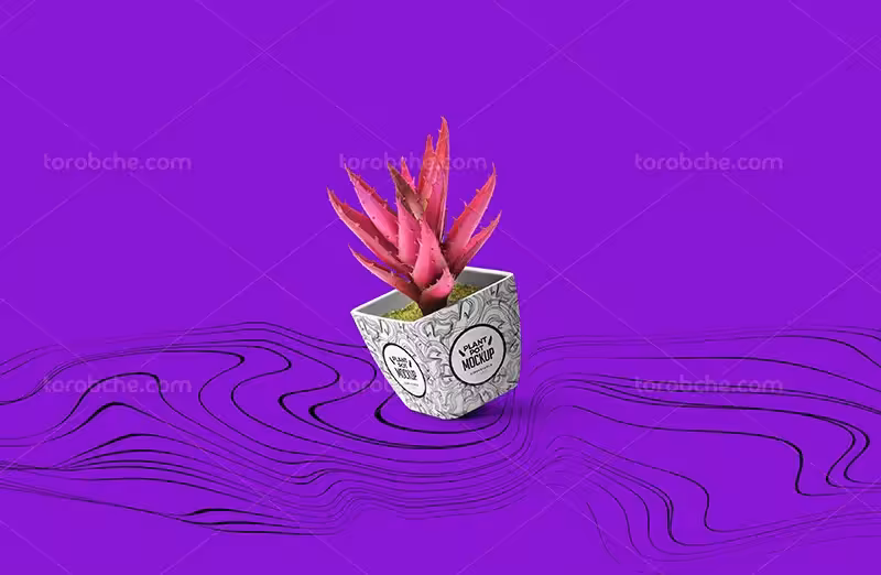 موکاپ گلدان کاکتوس لایه باز | گرافیک با طعم تربچه