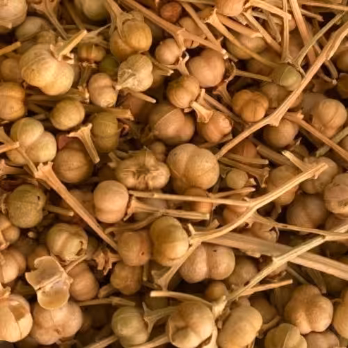 اسپند نخودی تمیز 100 گرم 