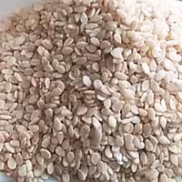 کنجد سفید کاملا تمیز و با کیفیت 250 گرمی ارسال به سراسر ایران با پست سریع