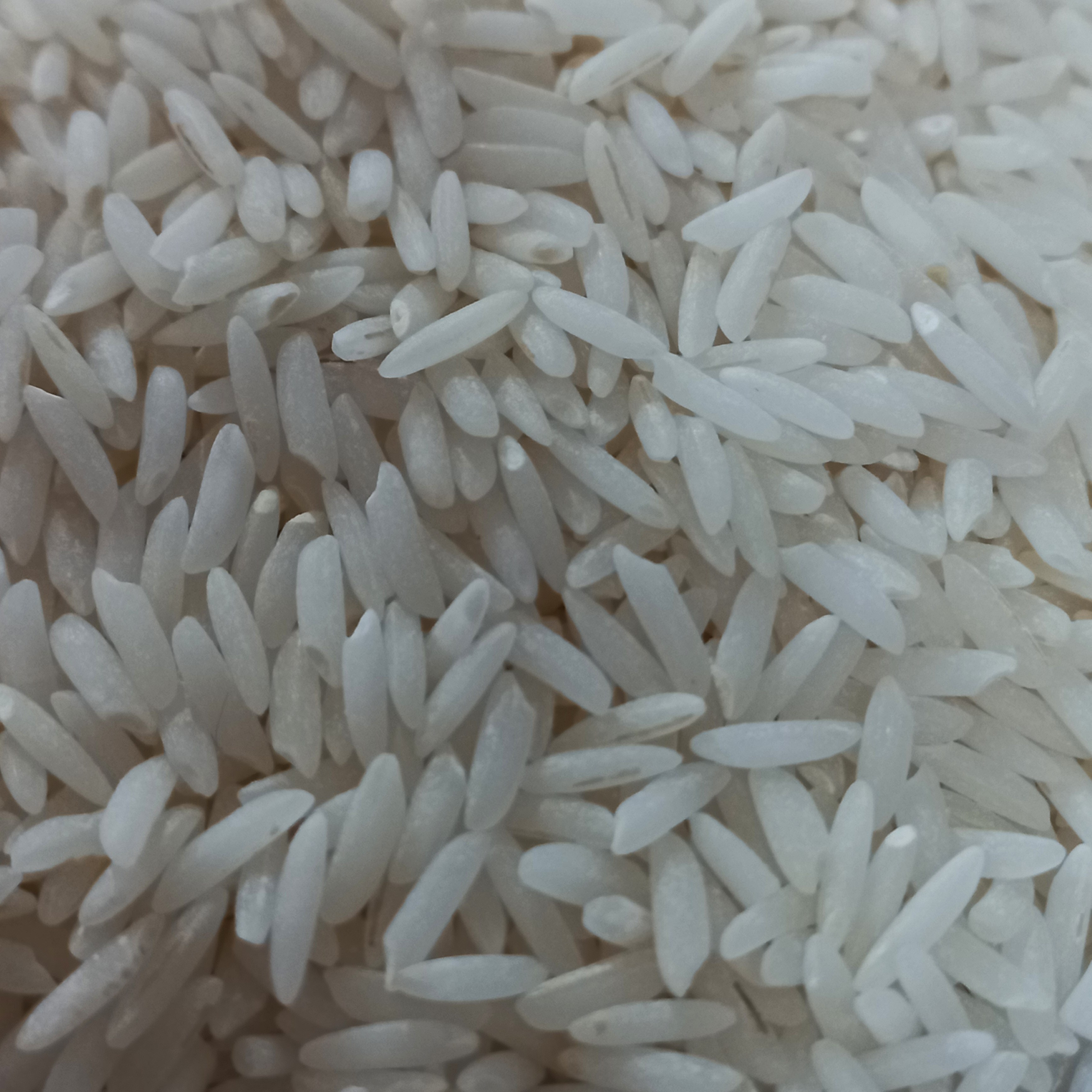 برنج هاشمی درجه یک گیلان بسته 10 کیلویی
