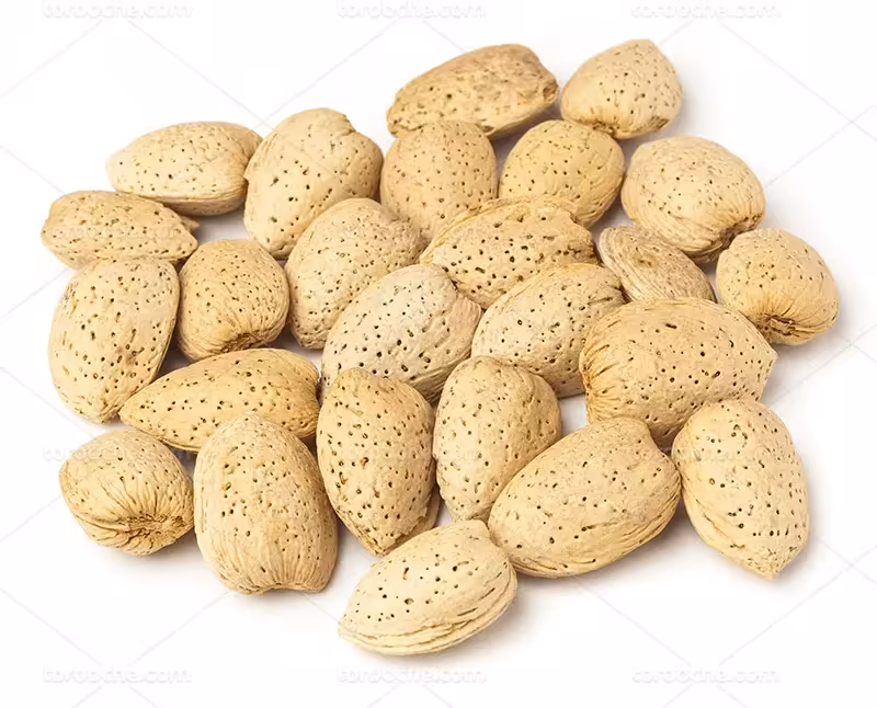 عکس بادام درختی باکیفیت | گرافیک با طعم تربچه