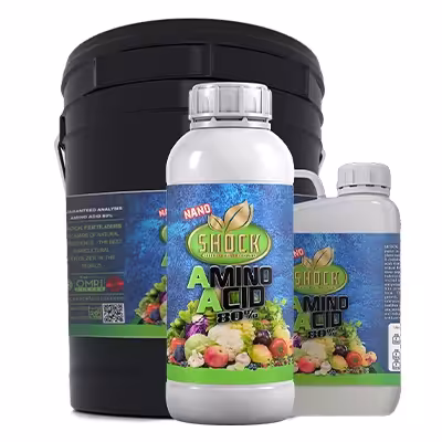 کود آمینو اسید شوک