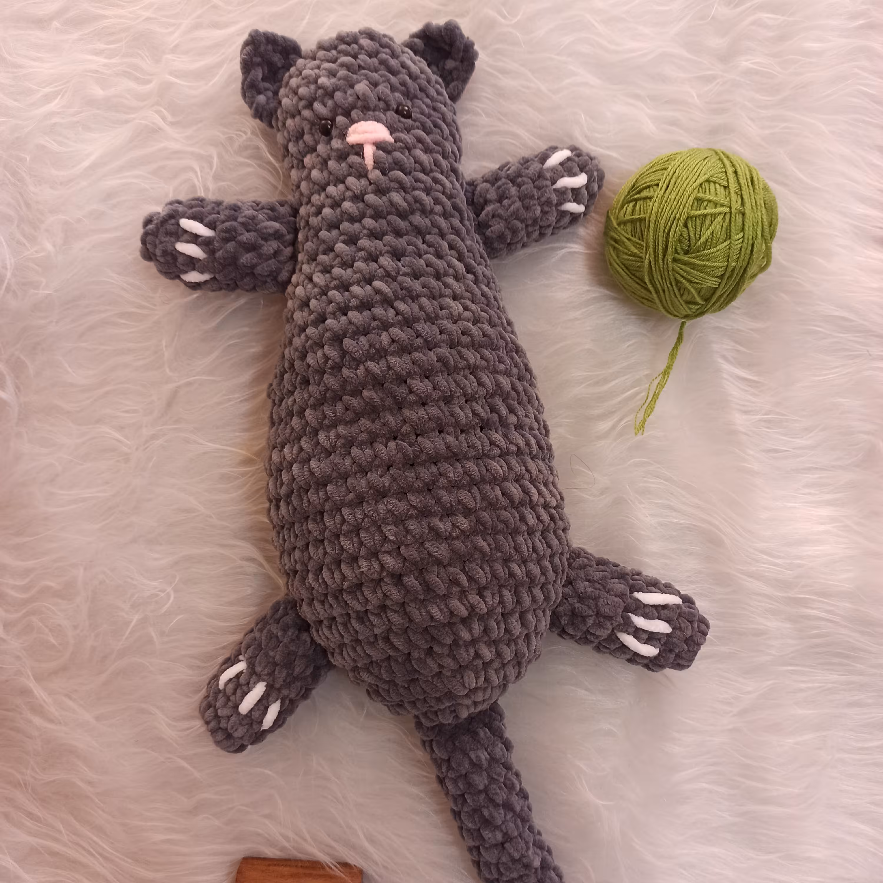 گربه خوابیده خاکستری