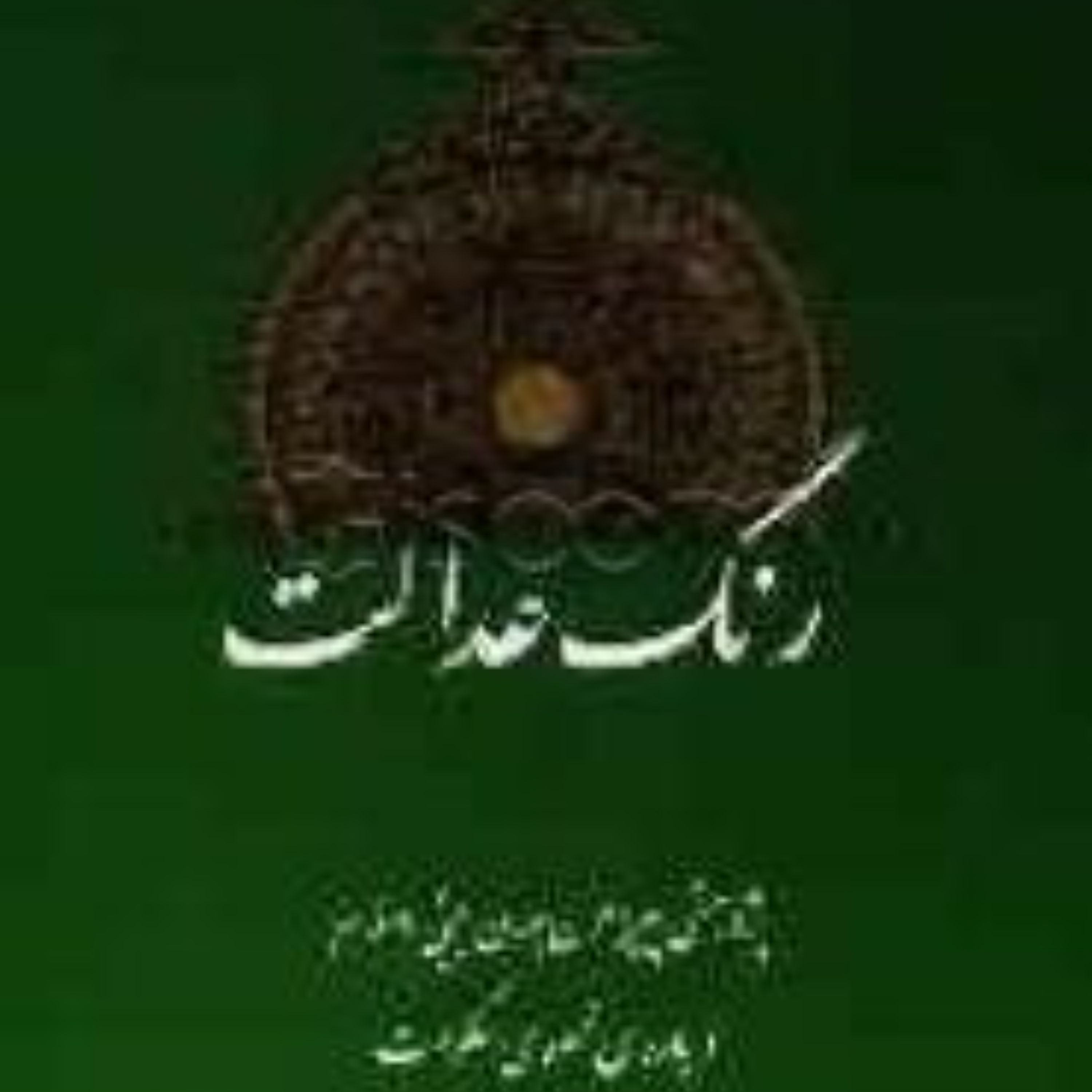 کتاب رنگ عدالت اثر محمدیحیی قربانی