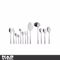 سرویس قاشق و چنگال ناب استیل 116 پارچه مدل فلورانس استیل مات جعبه کادویی