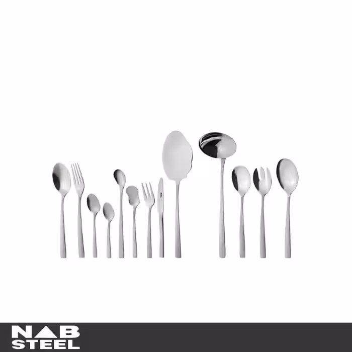 سرویس قاشق و چنگال ناب استیل 116 پارچه مدل فلورانس استیل مات جعبه کادویی