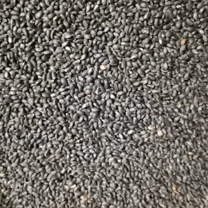 تخم شربتی درشت اعلاء یک کیلویی