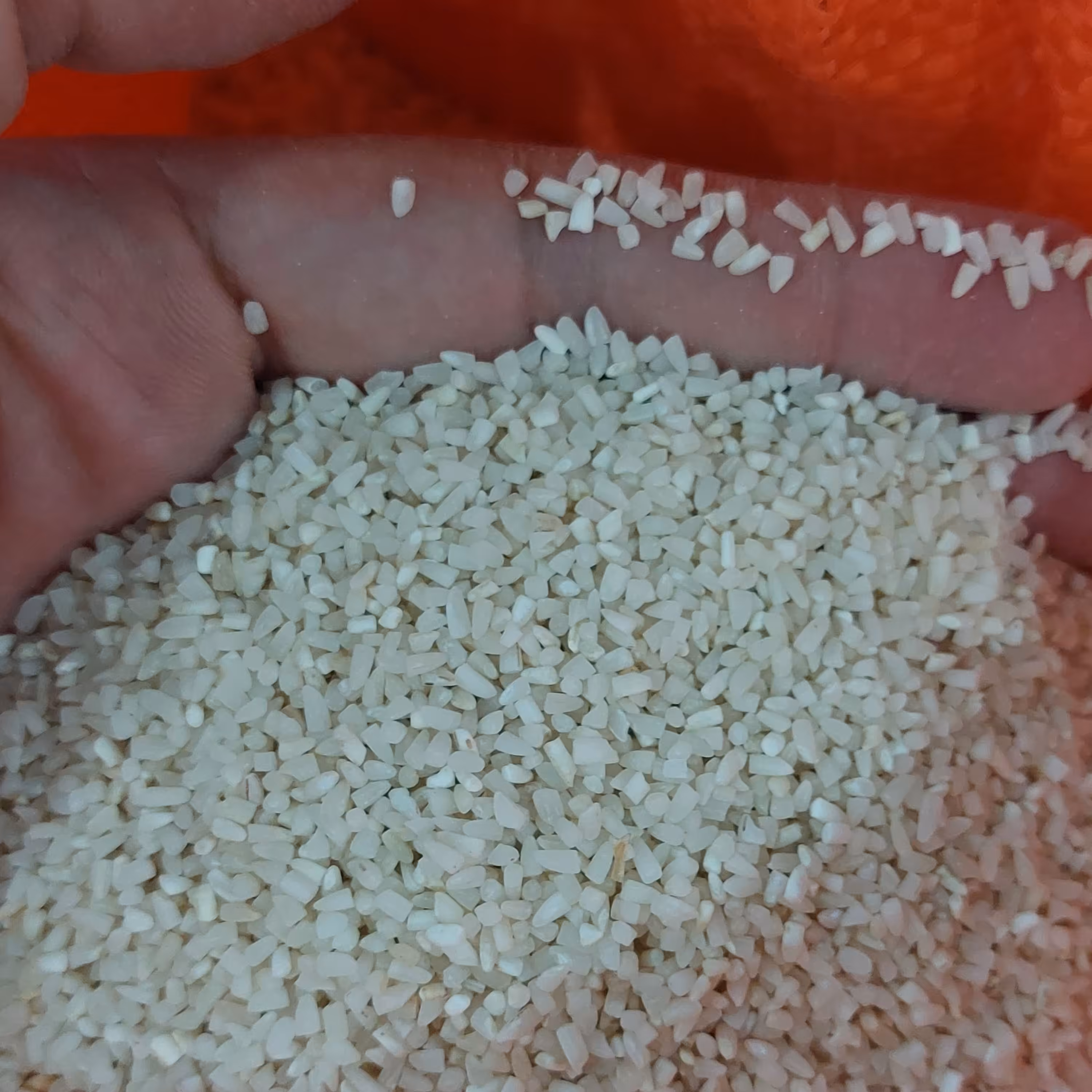 برنج نیمدانه عطری ریز