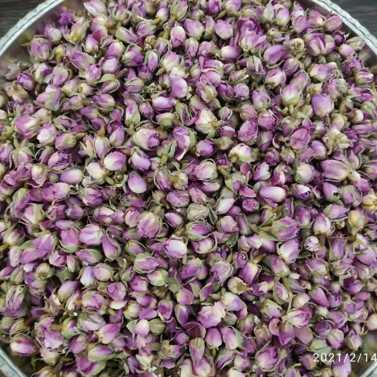 غنچه گل محمدی درجه یک خیلی خوش عطر تازه