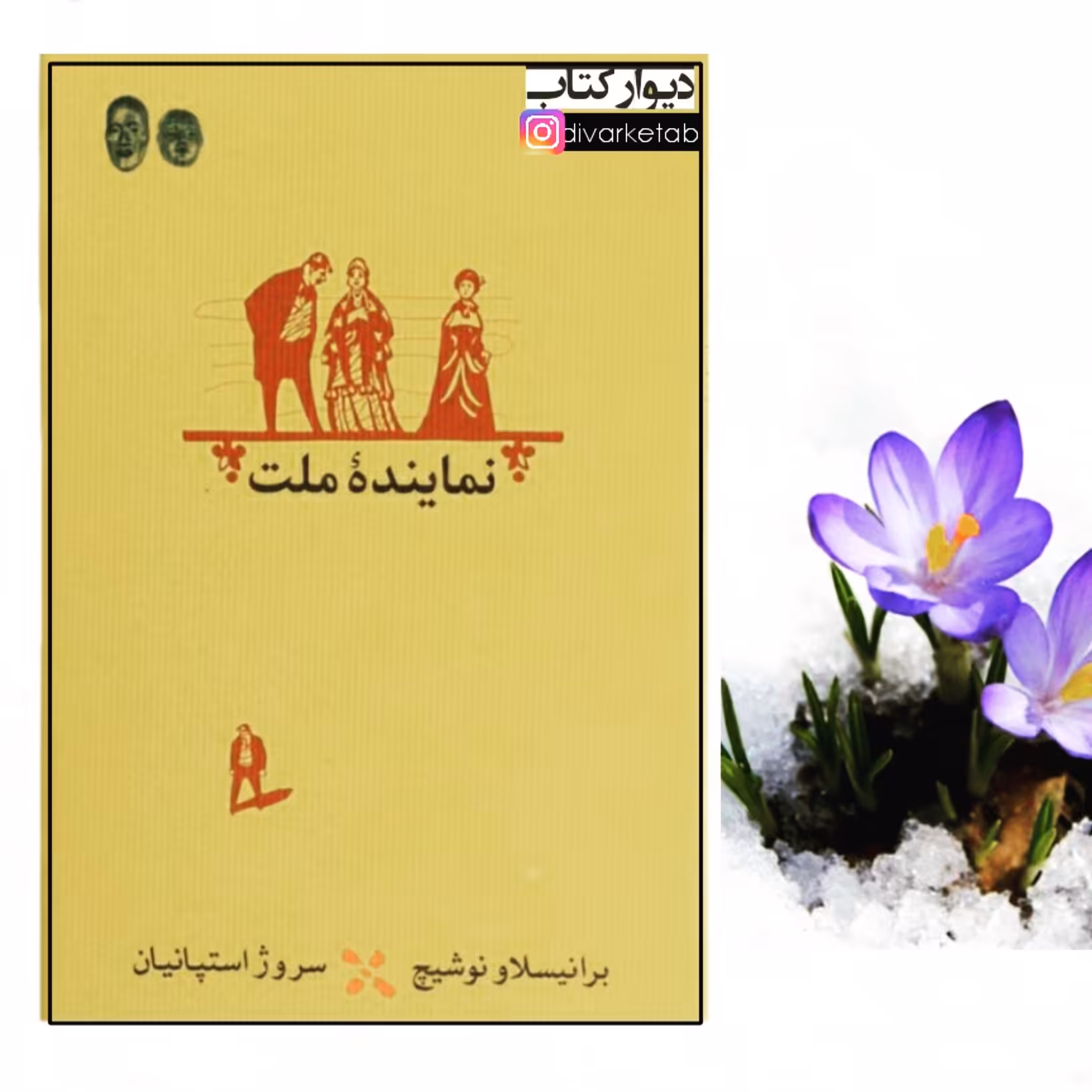 کتاب نماینده ملت اثر برانیسلاو نوشیج با تخفیف ویژه انتشارات نشر کارنامه جلد شومیز 
