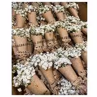 گیفت بله برون 