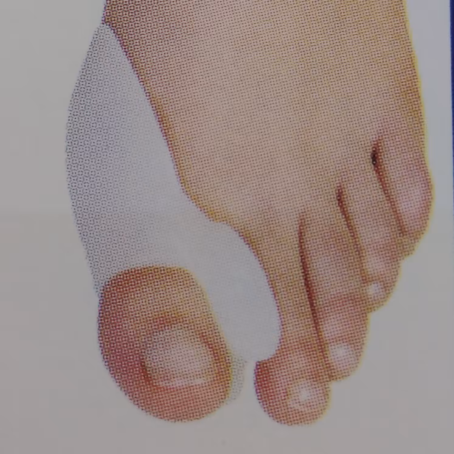 لا انگشتی پددار سیلیکونی مدل طب و صنعت کد 10500 یک جفت فری سایز