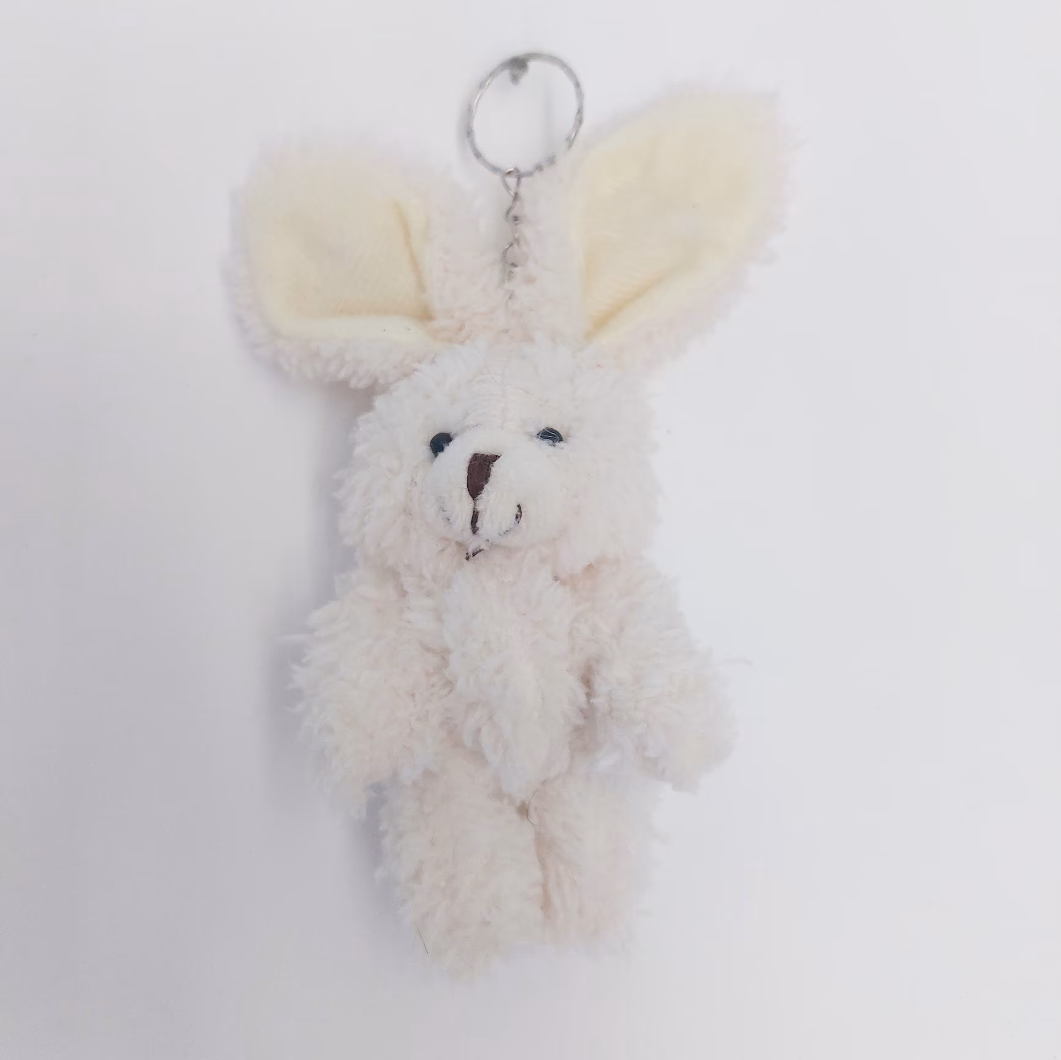 جا کلیدی خرگوش پشمالو 