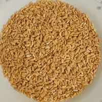 گندم پوست کنده (900)گرم