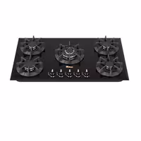 گاز داتیس مدل DG 541