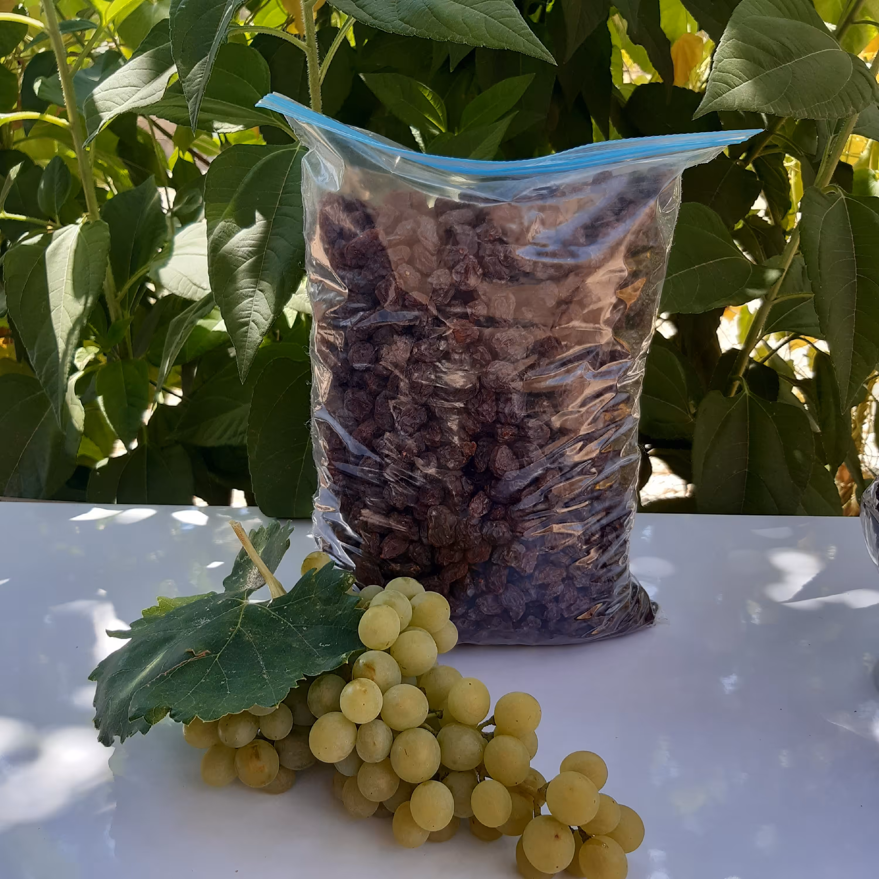 مویزقرمز هسته دار  1کیلو ونیم (تضمین کیفیت)