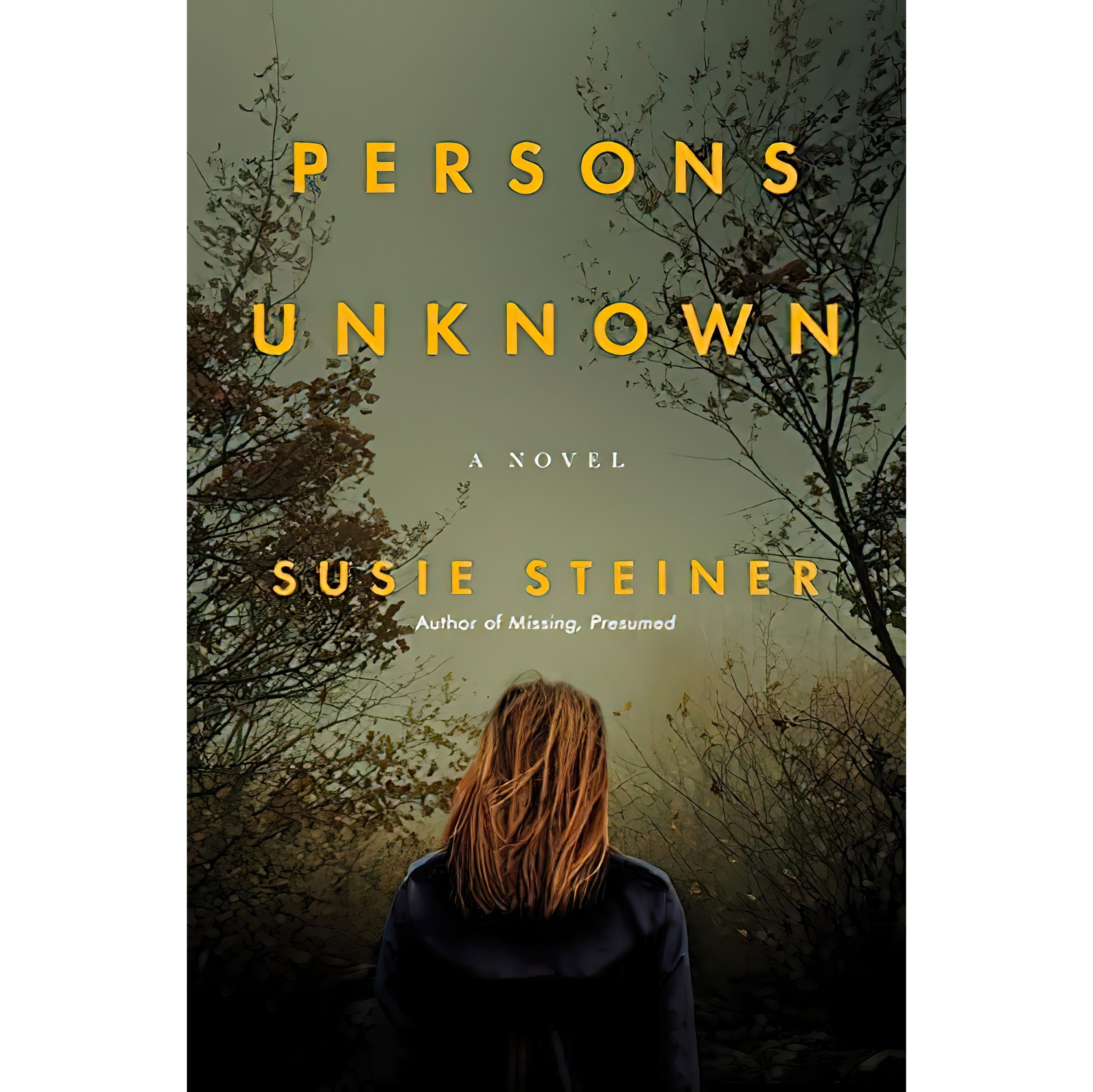 کتاب زبان اصلی Persons Unknown اثر Susie Steiner انتشارات Random House