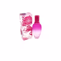 عطر  گرافیتی اسپری افشان(ده گرمی)