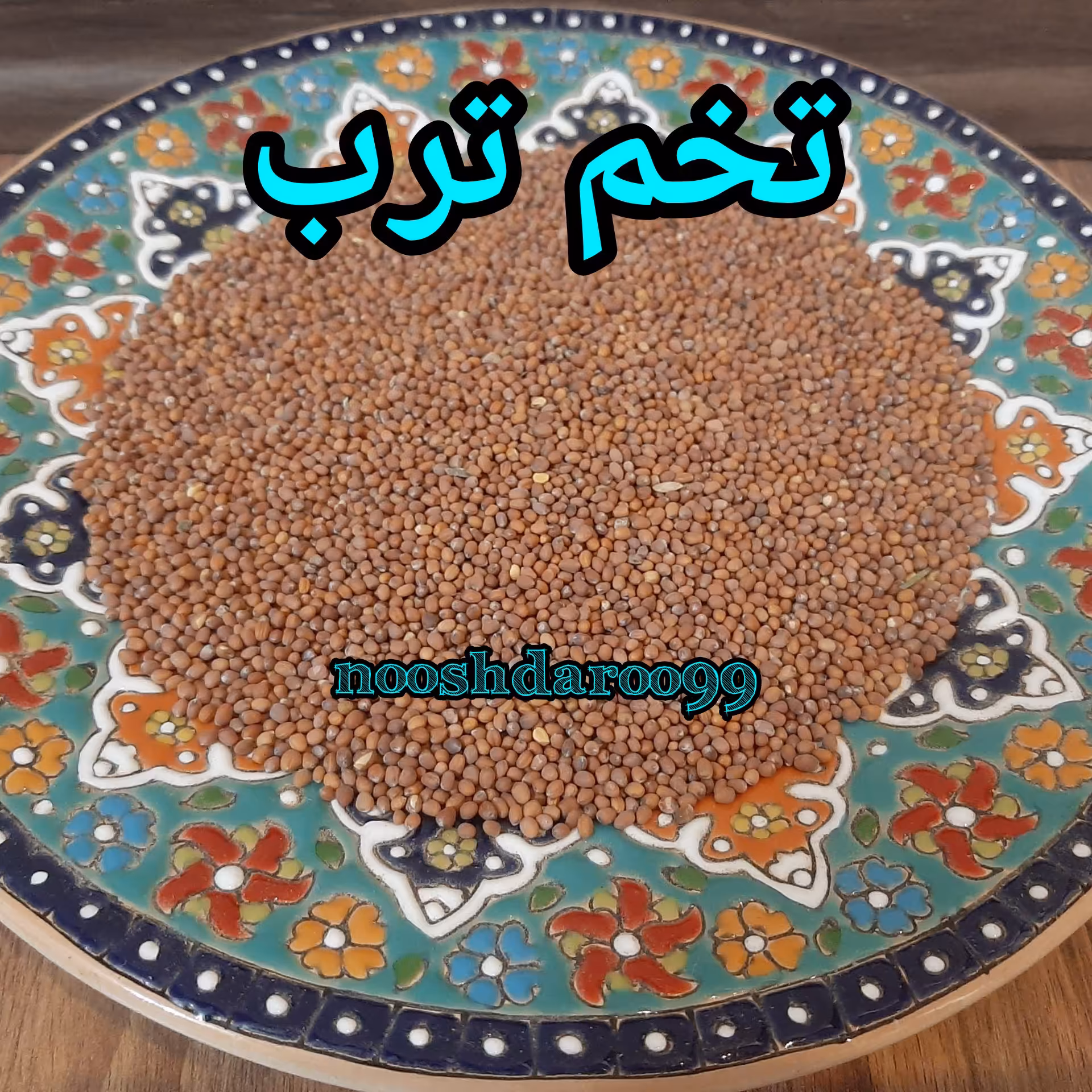 تخم ترب 4 کیلویی