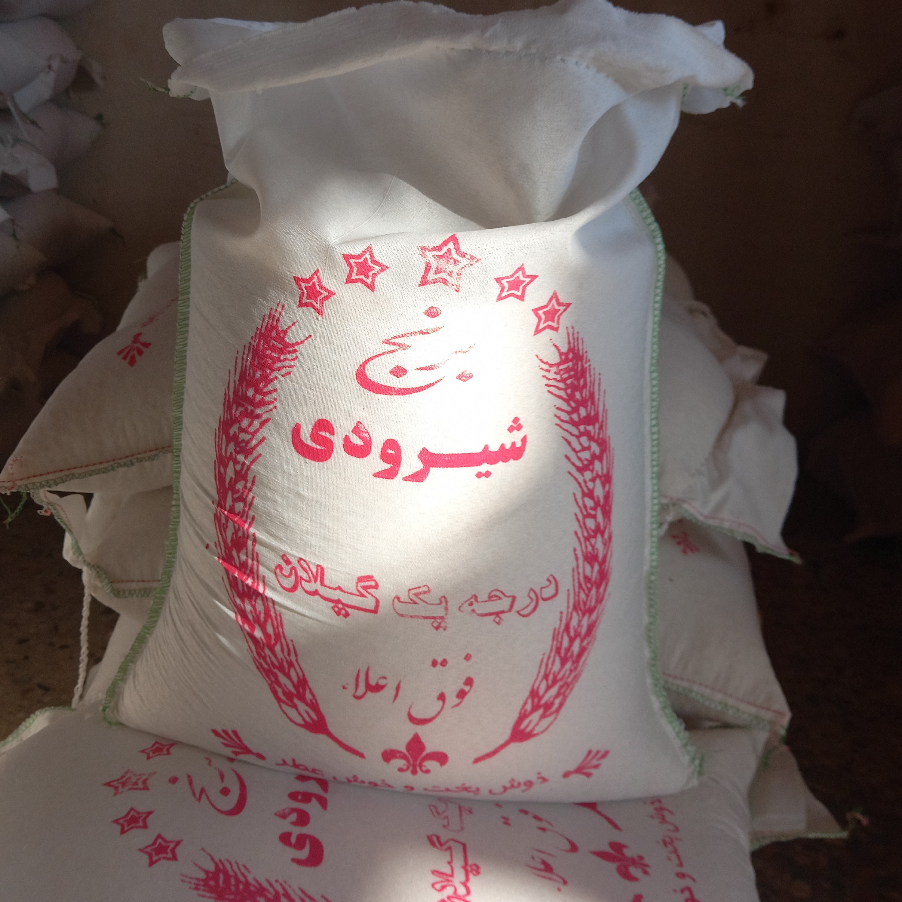 برنج شیرودی