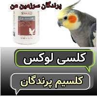 کلسی لوکس ورسلگا پرنده20گرم 