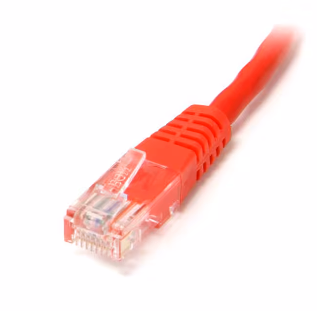 پچ کورد 2 متری Infilink مدل IP-PC520R - فروشگاه اینترنتی طیف سنتر