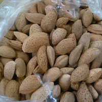 بادام درختی شیرین محصول 1402(2کیلوگرم)