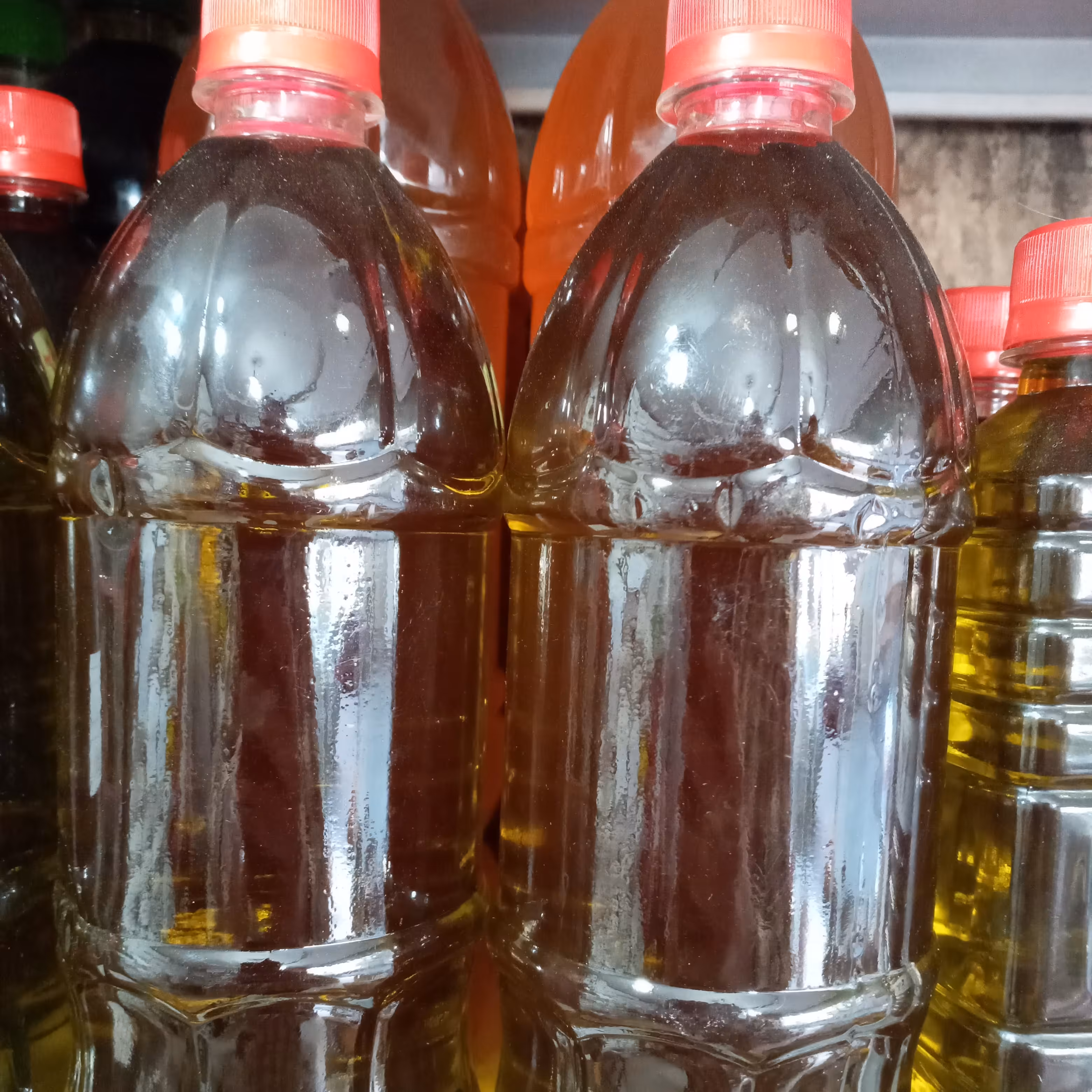 روغن زیتون خالص رودبار(بطری830گرمی)