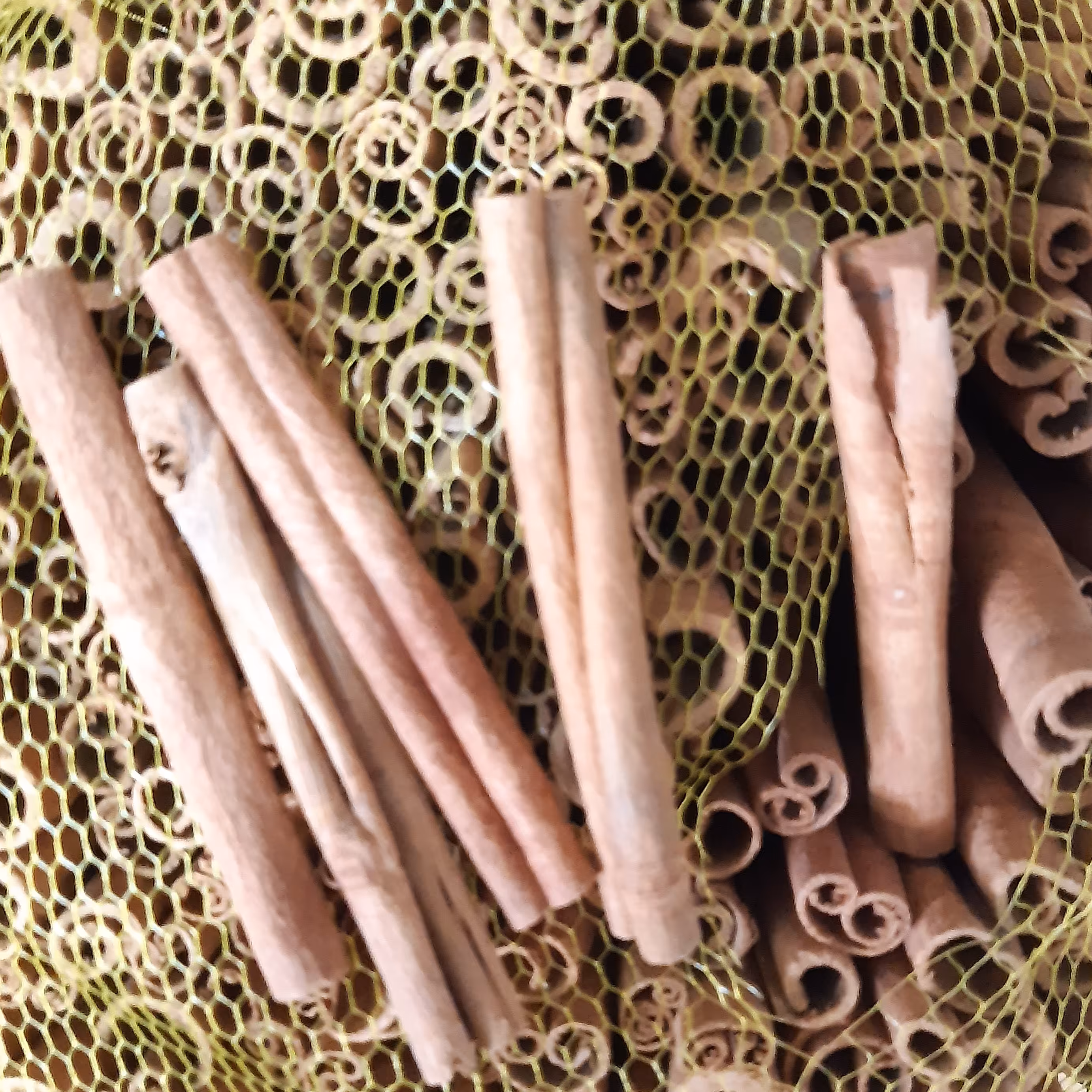 دارچین سیگاری اعلا  توبک (1کیلویی)