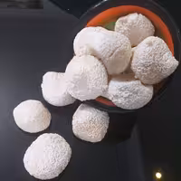 کشک ارگانیک