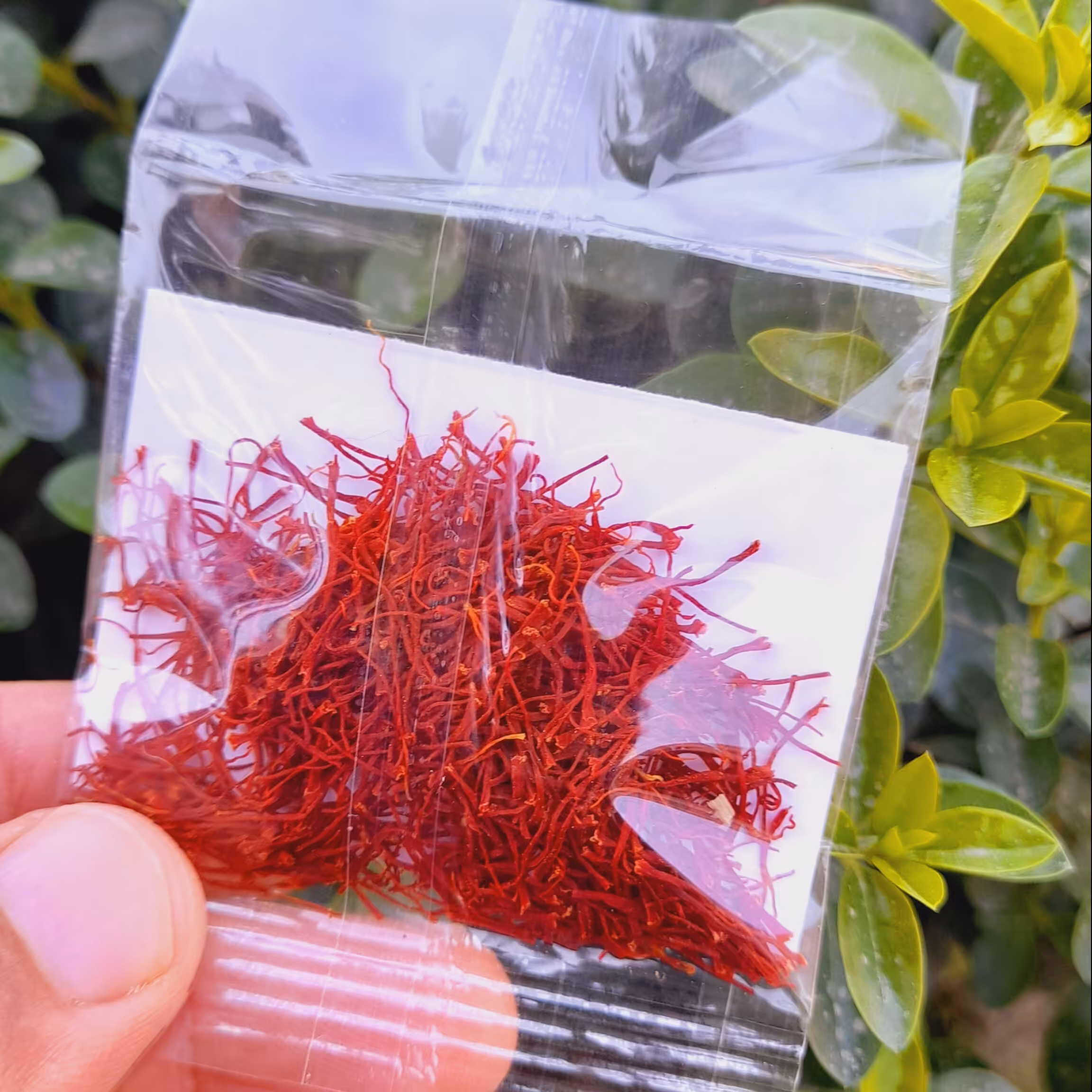 زعفران سرگل قائنات پاکتی یک گرمی