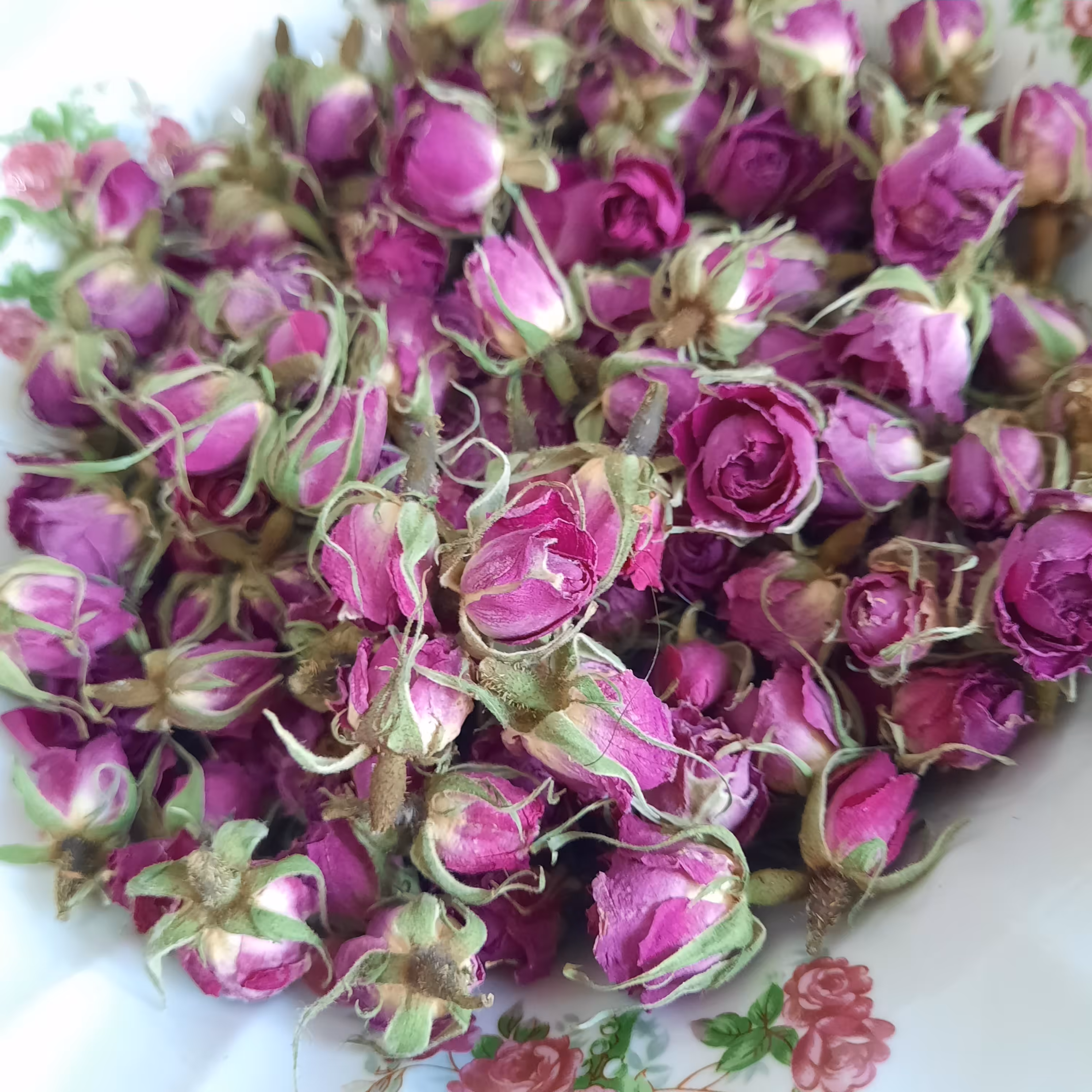 غنچه گل محمدی با بهترین کیفیت عطر و رنگ عالی 