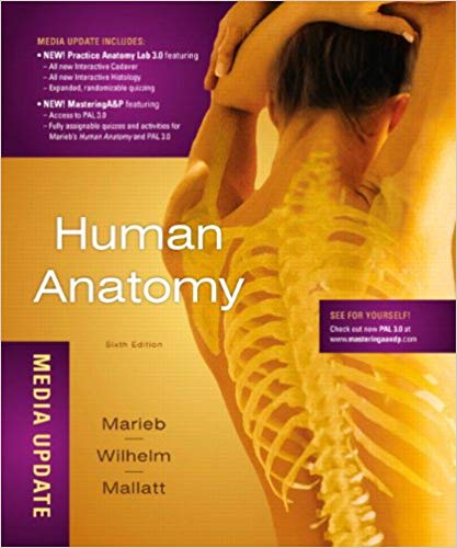  دانلود کتاب Human Anatomy, Media Update, 6th ed, 2011 - دانلود کتاب های دانشگاهی